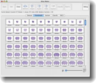 Atlas Maker thumbnails view