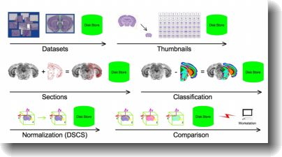 Atlas Maker workflow diagram