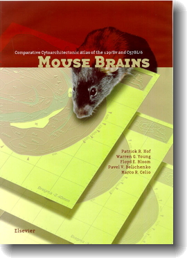 Mouse Brains Atlas sample plate